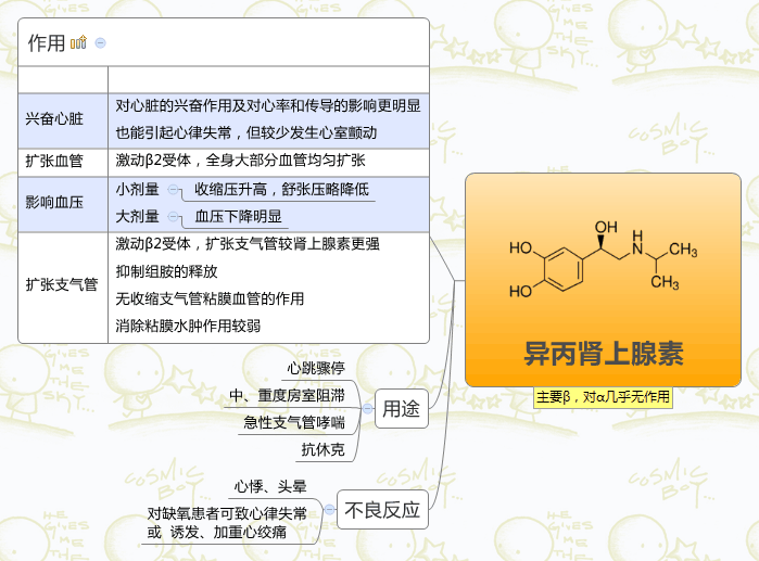 异丙肾上腺素思维导图